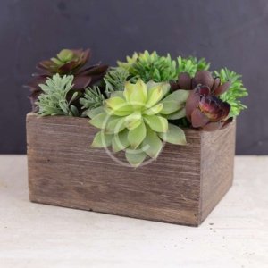 Housewarming New Home Flower Gift